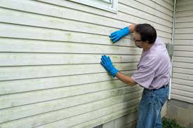 Best Vinyl Siding Installation  in Mcgovern, PA